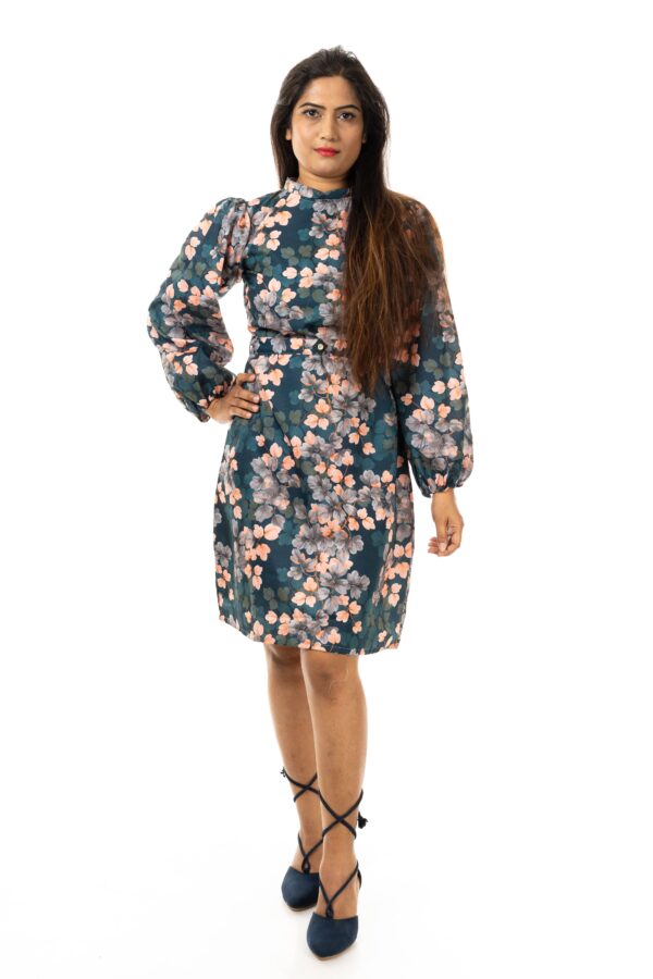 Women Puff Sleeves A-Line Dress(Color : Multi Color)
