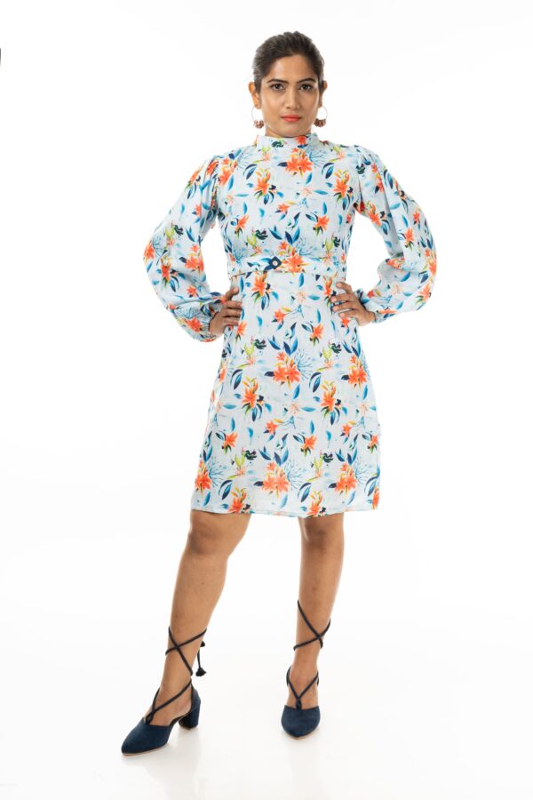 Women Puff Sleeves A-Line Dress( Color : Sky Blue)